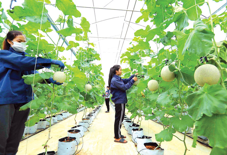 Hiệp hội Nữ doanh nhân Việt Nam chọn lựa một số dự án khởi nghiệp do nữ giới làm chủ từ các tỉnh, thành để đồng hành, hỗ trợ năng lực doanh nhân. Ảnh: Trần Quân Hiệp hội Nữ doanh nhân Việt Nam chọn lựa một số dự án khởi nghiệp do nữ giới làm chủ từ các tỉnh, thành để đồng hành, hỗ trợ năng lực doanh nhân. Ảnh: Trần Quân