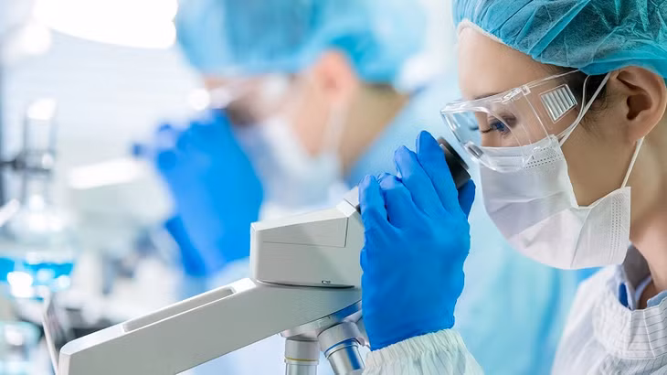 Ảnh minh họa: Internet