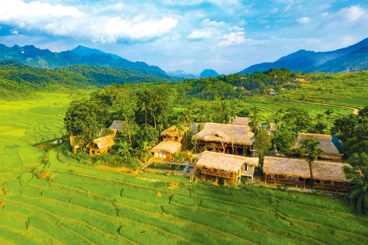 Ruộng bậc thang Pù Luông