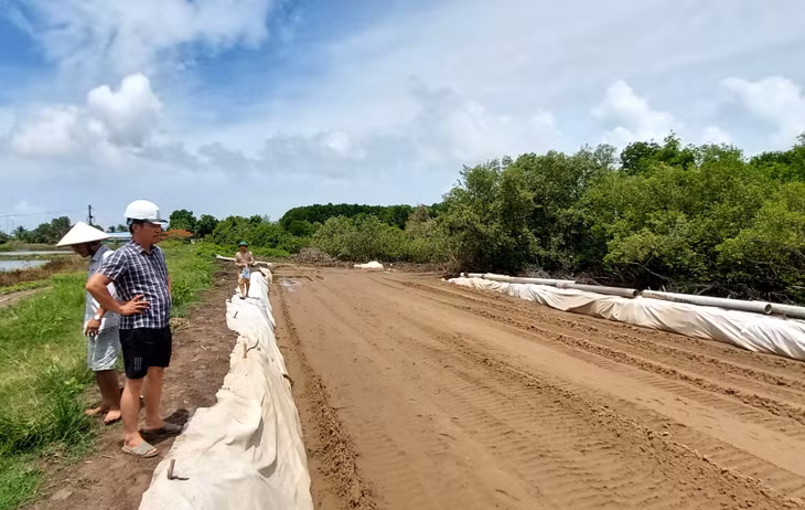 Công ty CP Xây dựng đê kè và phát triển nông thôn Hải Dương đã bơm, trải vải địa cát được 1,2 km trên tổng số 3 km đường đảm nhận