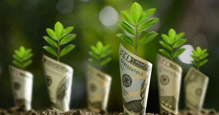 Để giành chiến thắng trong cuộc đua đến mức phát thải ròng bằng 0, thế giới phải đầu tư một cách sáng suốt và xác định các lĩnh vực cắt giảm chi phí. Ảnh Internet