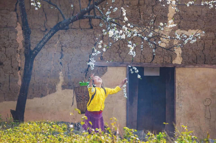 Nụ hoa Xuân chứa những bí mật diệu kỳ