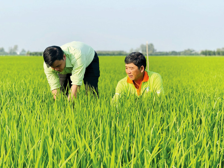 PAN Group phát triển hệ sinh thái các doanh nghiệp trong lĩnh vực sản xuất nông nghiệp, thực phẩm với các sản phẩm đáp ứng yêu cầu truy xuất nguồn gốc xuất xứ, mở rộng thị trường xuất khẩu