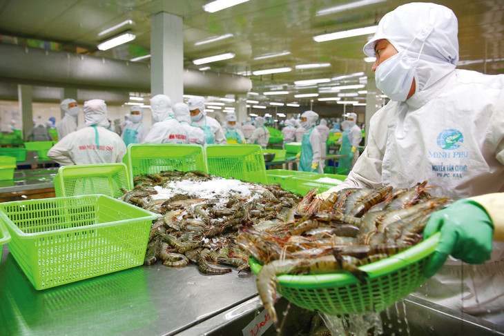 Dệt may và thủy sản là hai ngành cần được hỗ trợ về vốn và chính sách để vượt qua giai đoạn khó khăn hiện tại. Ảnh: Lê Tiên