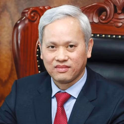 TS. Nguyễn Bích Lâm
