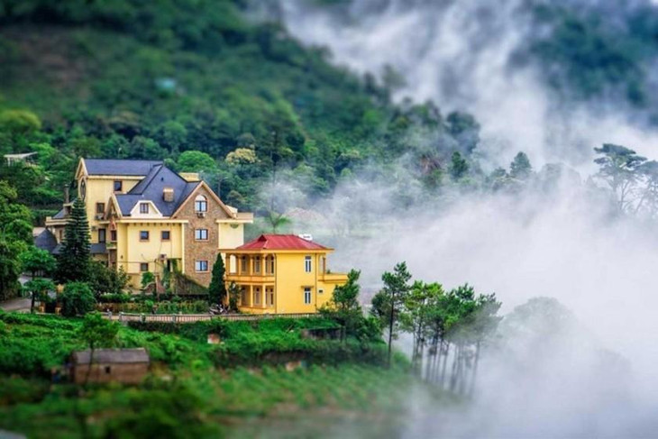 Tam Đảo với cảnh sương khói vờn trên đỉnh núi Tam Đảo với cảnh sương khói vờn trên đỉnh núi