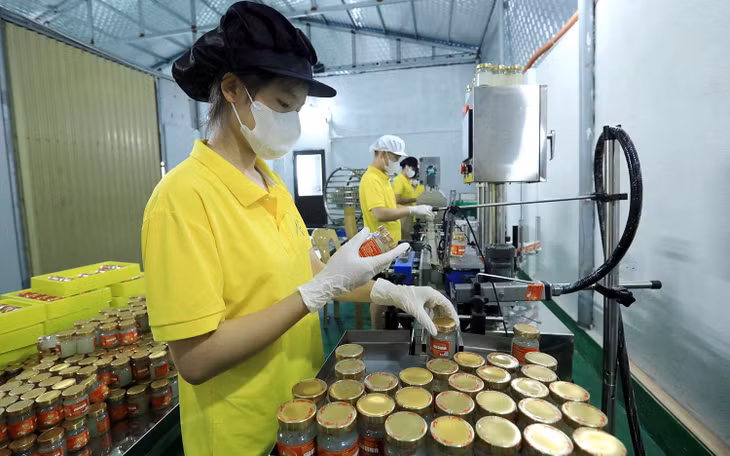 Giá nguyên vật liệu đầu vào trên thị trường thế giới đang ở mức cao có thể tạo áp lực cho doanh nghiệp, từ đó đẩy giá hàng hóa tiêu dùng trong nước tăng lên. Ảnh: Tuấn Anh