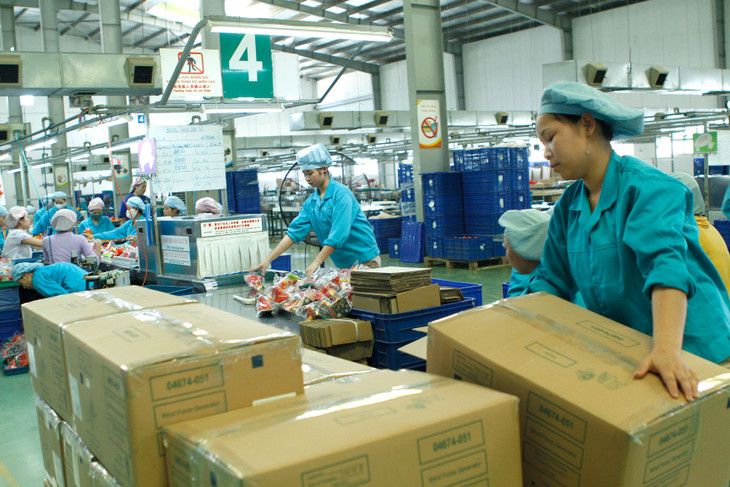 Nhiều ý kiến đề xuất quy định mức thuế suất 15% áp dụng cho các doanh nghiệp thuộc diện phải chịu thuế tối thiểu toàn cầu để giảm thủ tục hành chính cho doanh nghiệp. Ảnh: Nhã Chi