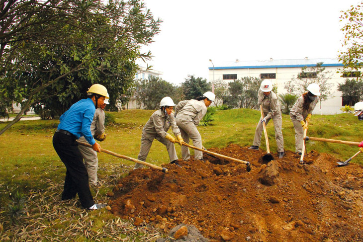 Công ty CP Nhiệt điện Cẩm Phả - TKV phấn đấu xây dựng Nhà máy “sáng - xanh - sạch - đẹp” theo định hướng nhà máy trong công viên