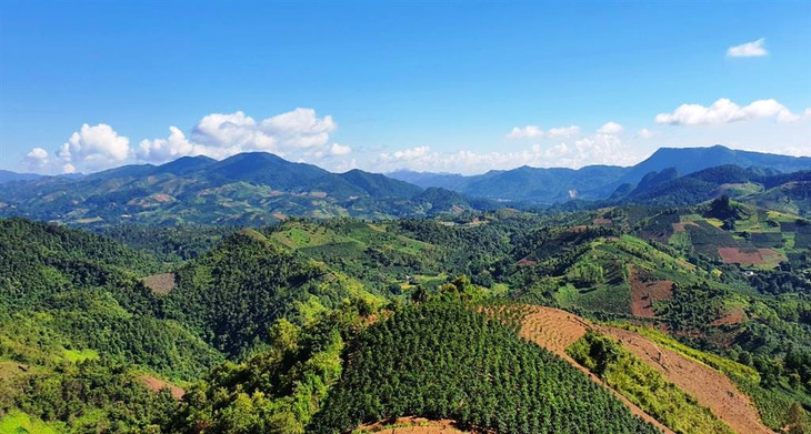 Ảnh minh họa: Internet Ảnh minh họa: Internet