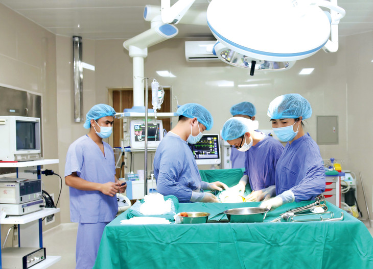 Nhiều nhà đầu tư quan tâm đến các dự án y tế, giáo dục,nông nghiệp và phát triển nông thôn, cấp thoát nước, năng lượng tái tạo… Ảnh: Song Lê