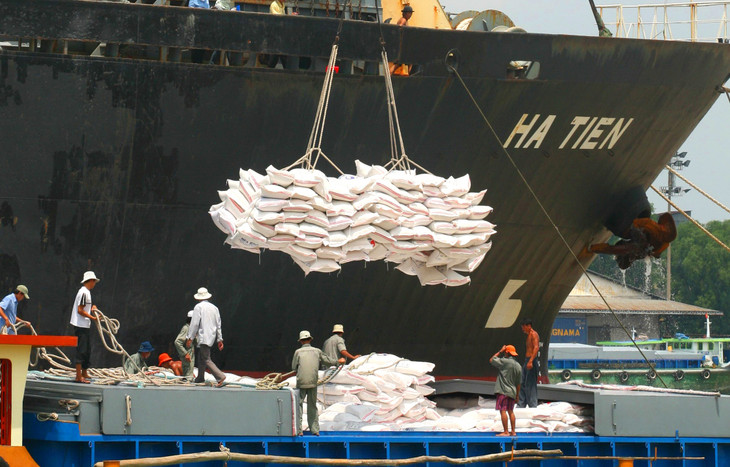 Hiện sản lượng gạo Việt Nam vào châu Âu mới chỉ khoảng 1 - 2% so với tổng sản lượng gạo nước ta xuất ra quốc tế. Ảnh: Tiên Giang