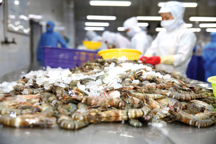 Cần tiếp tục thực hiện quyết liệt các giải pháp, chính sách thúc đẩy sản xuất kinh doanh, các động lực tăng trưởng truyền thống về đầu tư, tiêu dùng và xuất khẩu để đạt mục tiêu tăng trưởng. Ảnh: Lê Tiên