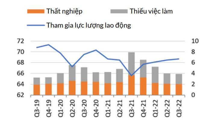 Thị trường lao động (Tỷ lệ %)