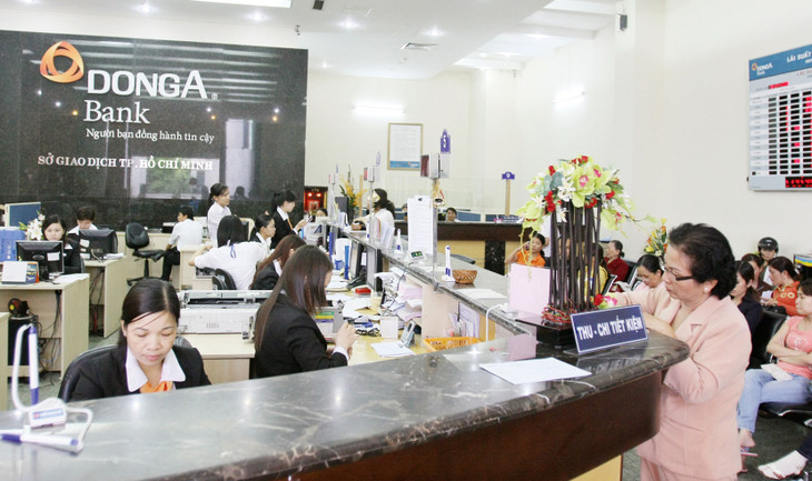 Dự thảo Luật Các tổ chức tín dụng (sửa đổi) quy định, cổ đông sở hữu cổ phần trên 1% của một ngân hàng phải công bố công khai các thông tin để thực hiện giám sát. Ảnh: Tường Lâm