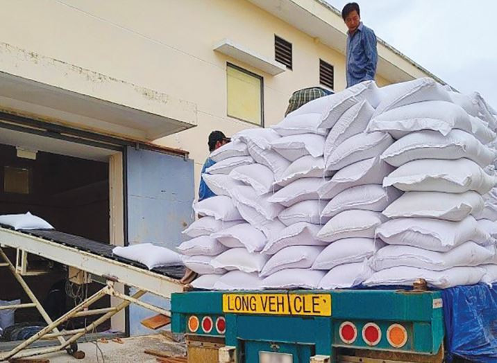 Cả 4 nhà thầu trúng 5 gói thầu cung cấp 6.000 tấn gạo nhập kho dự trữ quốc gia năm 2022 tại Cục Dự trữ nhà nước Đông Nam Bộ chưa được thanh toán. Ảnh: Hoàng Hợp