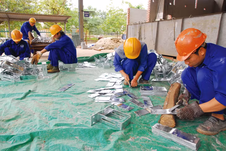 Chính phủ yêu cầu rà soát các loại chứng chỉ hành nghề để thu gọn, tránh trùng lặp, lãng phí. Ảnh: Nhã Chi