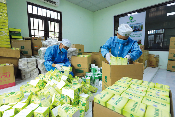 Nghị quyết số 02/NQ-CP đặt mục tiêu tổng quát là cải thiện mạnh mẽ chất lượng môi trường kinh doanh để phù hợp với bối cảnh và xu thế phát triển, nâng cao vị thế của đất nước. Ảnh: Tiên Giang