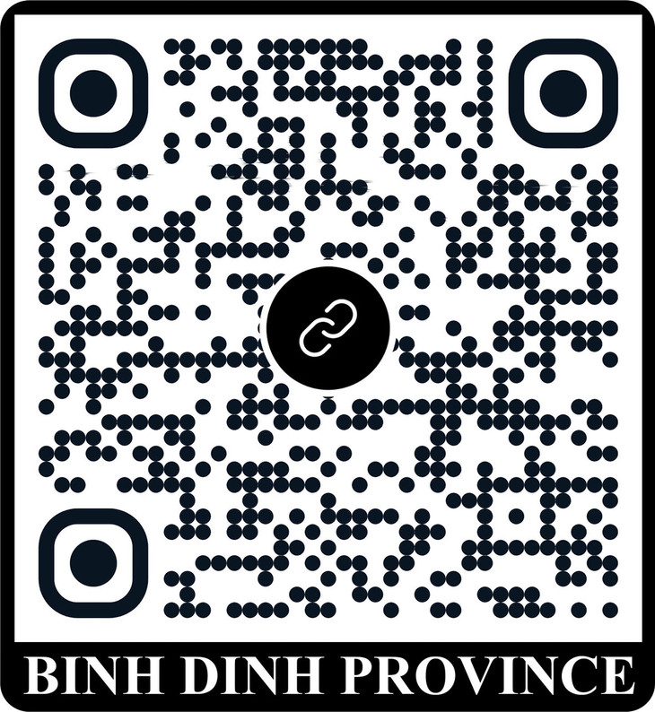 Thông tin về về môi trường đầu tư, định hướng mời gọi đầu tư vào Bình Định