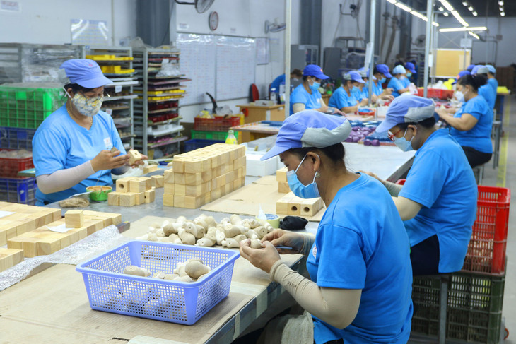 Khó khăn về thị trường, tín dụng khiến nhiều doanh nghiệp có xu hướng thu hẹp sản xuất, kinh doanh. Ảnh: Nhã Chi Khó khăn về thị trường, tín dụng khiến nhiều doanh nghiệp có xu hướng thu hẹp sản xuất, kinh doanh. Ảnh: Nhã Chi