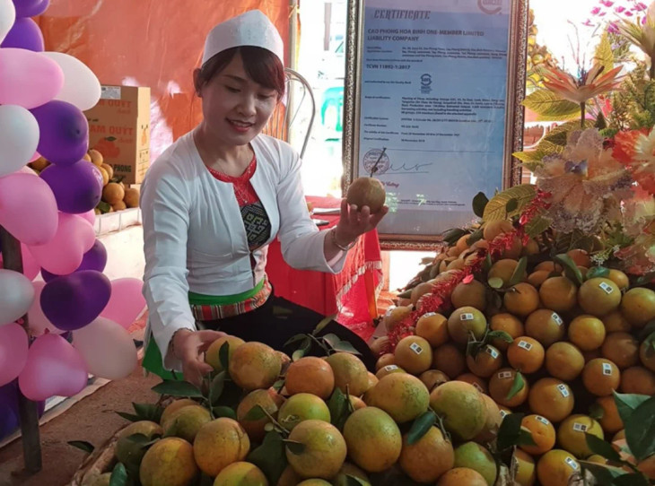 Cao Phong trở thành huyện có lợi thế phát triển kinh tế nông nghiệp, trong đó thế mạnh là trồng cam theo tiêu chuẩn VietGAP Cao Phong trở thành huyện có lợi thế phát triển kinh tế nông nghiệp, trong đó thế mạnh là trồng cam theo tiêu chuẩn VietGAP