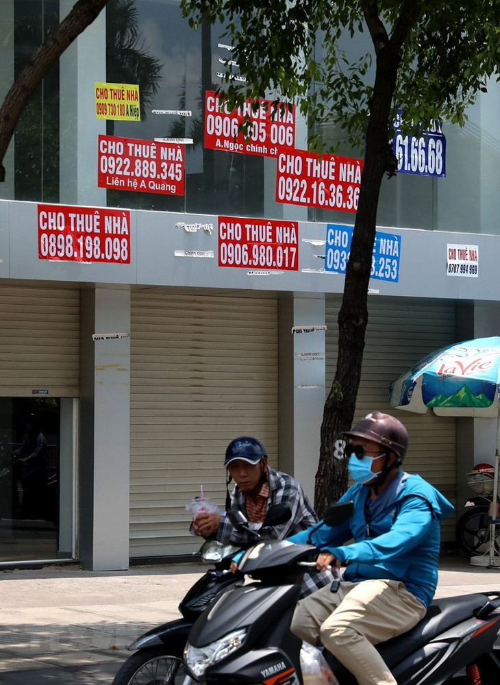 Những tấm biển cho thuê lại nhà trên đường Nguyễn Văn Trỗi. (Ảnh: Ngọc Hà/TTXVN)