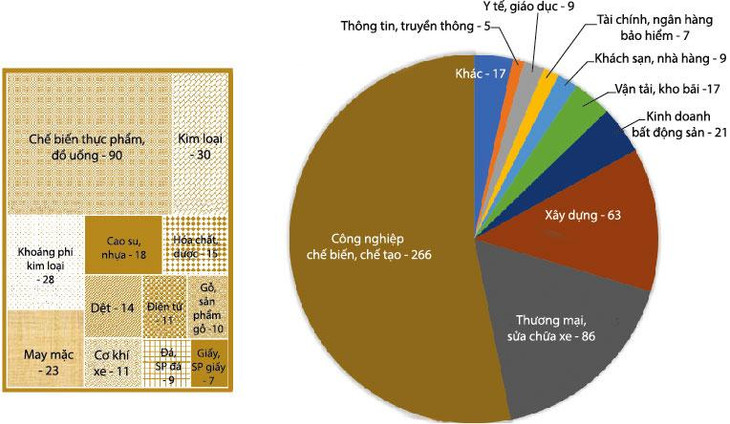 Phân bố theo ngành của VPE-TOP500
