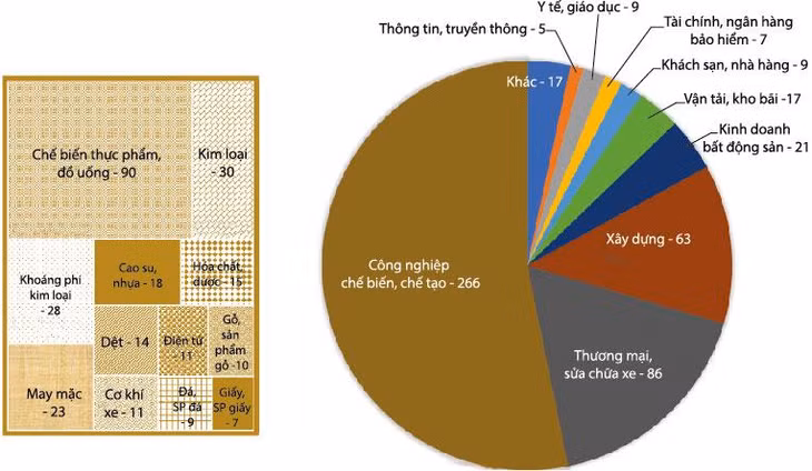 Phân bố theo ngành của VPE-TOP500
