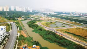 Thể chế hóa các cơ chế, chính sách đặc thù tại một số địa phương được thực tiễn chứng minh là đúng, có hiệu quả để áp dụng trên phạm vi toàn quốc là một trong những nội dung được triển khai trong năm 2026 nhằm hỗ trợ cho tăng trưởng kinh tế. Ảnh: Song Lê