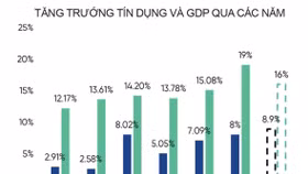 Tăng trưởng tín dụng phân hóa rõ rệt 