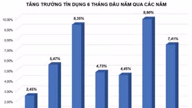 Tăng trưởng tín dụng phân hóa nửa cuối năm 