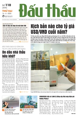 BÁO ĐẤU THẦU SỐ 110 - 2025