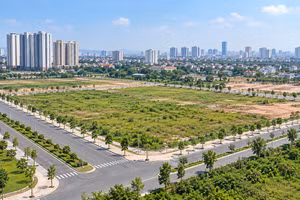 Ảnh minh hoạ: AI