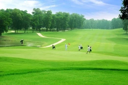 Một sân golf tại Việt Nam (ảnh: Internet)