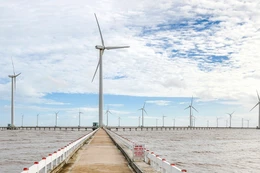 Một dự án điện gió (ảnh minh họa. Nguồn Internet)