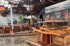 Thiệt hại về người là 6 vụ, số tiền bảo hiểm ước tính là 700 triệu đồng