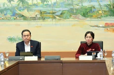 Chủ tịch Quốc hội Trần Thanh Mẫn tham gia thảo luận tại tổ. 