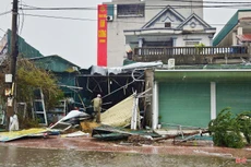 Bão số 10 và 11 gây thiệt hại nặng nề 