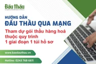Hướng dẫn tham dự gói thầu hàng hóa thuộc quy trình 1 giai đoạn 1 túi hồ sơ
