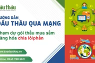 Hướng dẫn tham dự gói thầu mua sắm hàng hóa chia lô/phần
