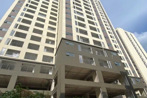 Cơn sốt tại Phú Thọ DMC cho thấy nhu cầu về nhà ở giá rẻ tại các đô thị hạt nhân như TP.HCM vẫn cực kỳ lớn, trong khi nguồn cung thực tế chỉ mới đáp ứng được một phần rất nhỏ kỳ vọng của xã hội. Ảnh: Internet