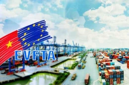 Hiện nay, Việt Nam là đối tác thương mại hàng hóa lớn nhất của EU tại ASEAN và đứng thứ 16 trên toàn cầu. Ảnh: Internet