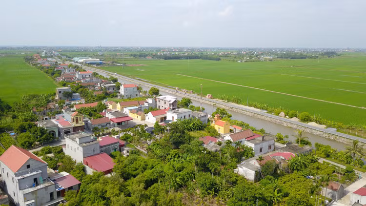 Đấu giá 130 thửa đất tại Giao Ninh (Ninh Bình). Ảnh minh họa: Internet