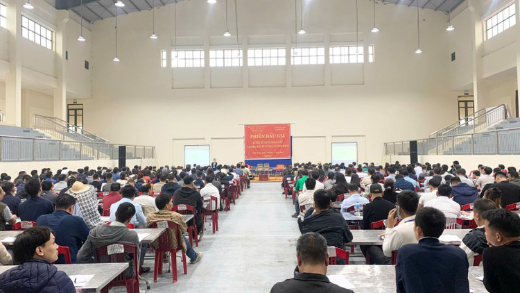 Phiên đấu giá tài sản là giá quyền sử dụng 122 thửa đất cho nhân dân làm nhà ở tại khu dân cư Cổ Giả, xã Nam Minh, tỉnh Ninh Bình