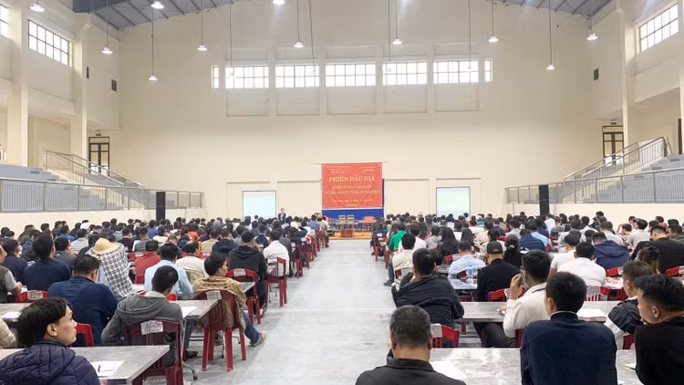 Phiên đấu giá tài sản là giá quyền sử dụng 122 thửa đất cho nhân dân làm nhà ở tại khu dân cư Cổ Giả, xã Nam Minh, tỉnh Ninh Bình