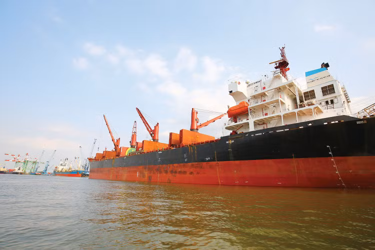 Doanh nghiệp kinh doanh vận tải biển quốc tế phải có bảo lãnh theo quy định của pháp luật tối thiểu là 5 tỷ đồng hoặc mua bảo hiểm để bảo đảm nghĩa vụ của chủ tàu đối với thuyền viên. Ảnh: Lê Tiên