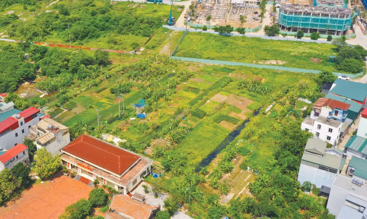 Các quỹ đất đấu giá đã hoàn tất giải phóng mặt bằng và được đầu tư hạ tầng đồng bộ. Ảnh minh họa: Thu Huyền