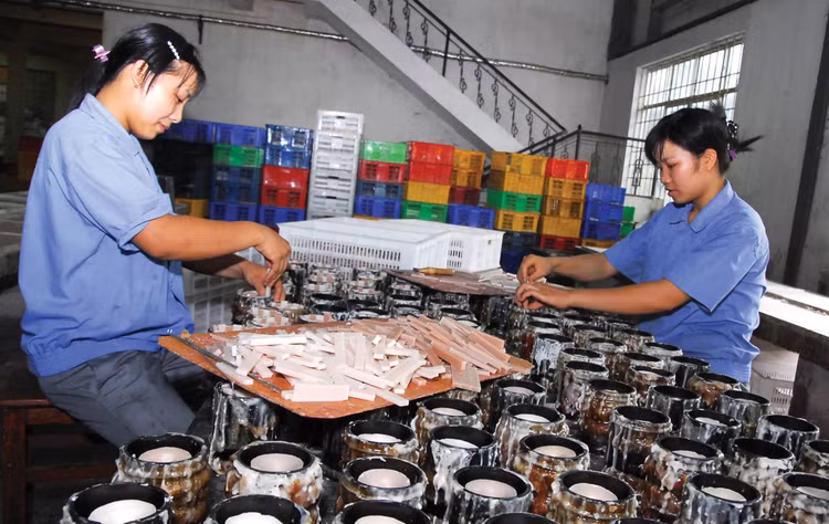 Dự thảo Luật bổ sung cơ chế khuyến khích tổ chức tín dụng cho doanh nghiệp nhỏ và vừa vay trên cơ sở đa dạng hóa hình thức bảo đảm tiền vay. Ảnh minh họa: Nhã Chi