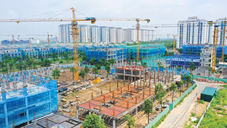 Nghị định 274/2026/NĐ-CP có hiệu lực thi hành từ ngày 21/8/2026 đã bỏ tiêu chuẩn đánh giá về kinh nghiệm thực hiện dự án tương tự để đánh giá năng lực của nhà đầu tư. Ảnh: Tiên Giang