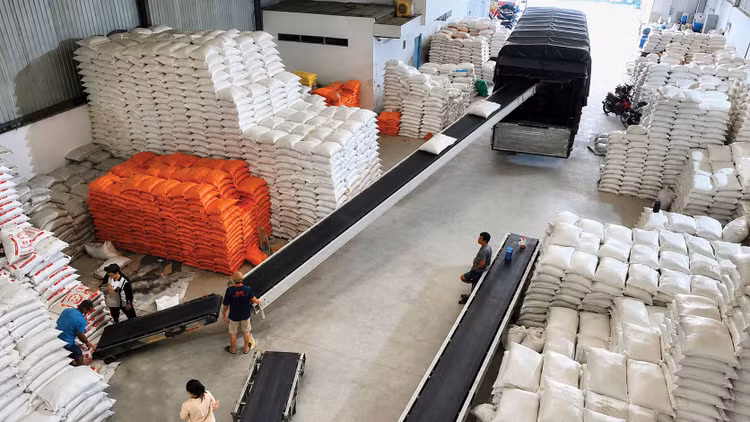 Các gói thầu mua gạo dự trữ quốc gia năm 2026 đều có thời gian thực hiện hợp đồng 60 ngày, thời hạn hoàn thành chậm nhất đến hết ngày 31/7/2026